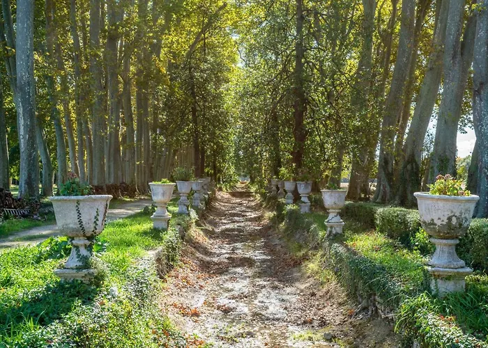 La Chapelle De Fontmagne - Piscine, Tennis Et Grand Parc -